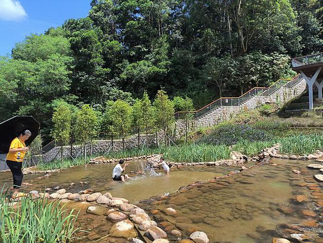 永暦通宝壹分市场价格解析